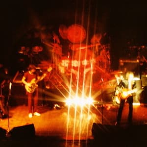 Camel