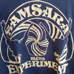 Samsara Blues Experiment