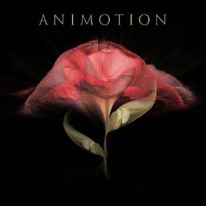 Animotion