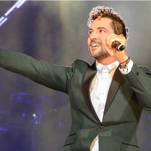 David Bisbal