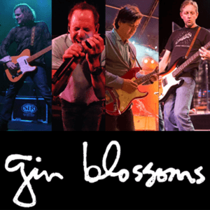 Gin Blossoms