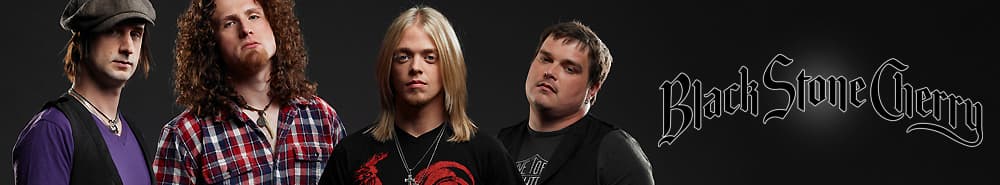 Black Stone Cherry promotional image