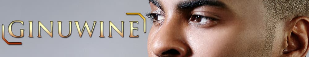 Ginuwine promotional image
